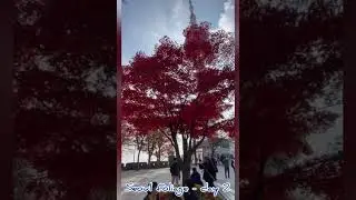 Seoul Korea Autumn 2022