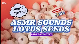 SLS | ASMR SOUNDS LOTUS SEEDS #LIVE #ASMR