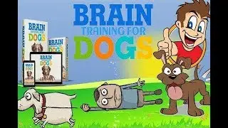 Brain Training for Dogs Review - The best Brain Training For Dogs
