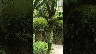lanjaron en la alpujarra