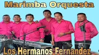 Los Hermanos Fernández Mix
