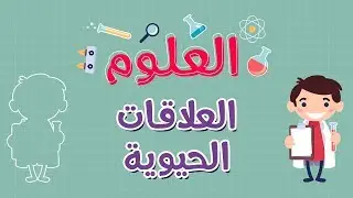 العلوم | العلاقات الحيوية