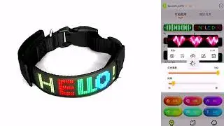 LED Light Up Dog Collar Pet Accessories Wireless APP Customized Luminous LED rechargeable collars