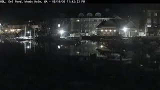 MBL Eel Pond Live Stream
