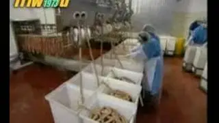 Mass Producing Hot Dogs in a Factory