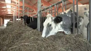 Dein Job als Berufskraftfahrer/in bei Keller Heu + Stroh