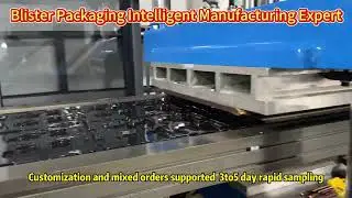 Blister Packaging Intelligent Manufacturing Expert