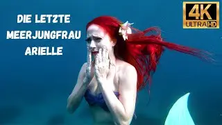 Die letzte Meerjungfrau Arielle ( Die kleine Meerjungfrau )
