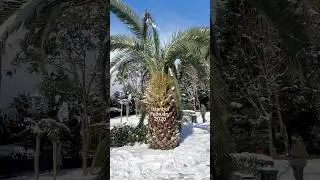 ❄️🇹🇷Istanbul in 2025 February #istanbul #t&uuml;rkei #istambul #اسطنبول #turkiye #isztambul #estambul
