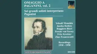 Violin Concerto No. 1 in D Major, Op. 6, MS 21: I. Allegro maestoso