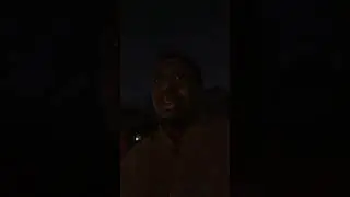 Хватит уже всей этой ерунды про бета-самцов и альфа-самцов.