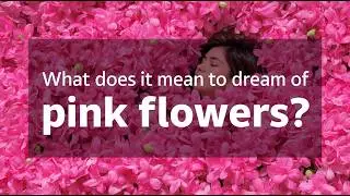 &iquest;Qu&eacute; significa so&ntilde;ar con flores rosadas? (Significado oculto)