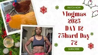 Vlogmas DAY 12 | 75Hard RESET Daily Vlog Day 72 | Updates | Chickens | Meals #youtubepartnerperks 