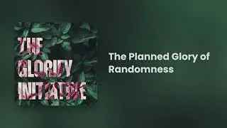 The Planned Glory of Randomness