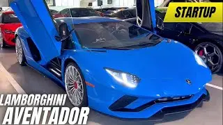 Aventador Lamborghini Cold Start 🔥 #aventador #lamborghini 