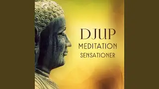 Zen musik