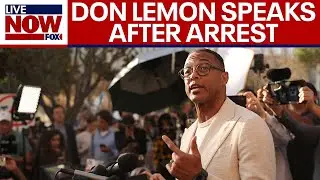Former CNN host Don Lemon speaks to media after arrest