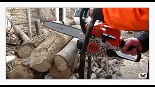 MOTORNA TESTERA STIHL MS 170 - SECENJE DRVA 2021