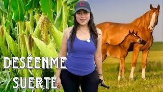 ESTOS SON MIS PROYECTOS EN EL CAMPO PARA EL 2026 🇸🇻 VIDEO 4K | Celinaz