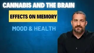 How Marijuana Affects the Brain & Body l ANDREW