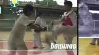 Pinoy Sports Idols Season 1