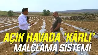 Açık Havada ‘Kârlı’ Malçlama Sistemi