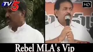 TDP Rebel MLA's Tension Speaker Decision - TV5