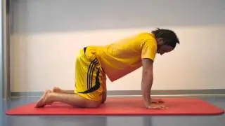4-F&uuml;&szlig;ler dynamisch