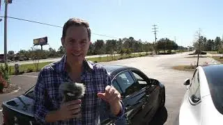Tesla Model 3 Performance Vs. BMW M3 (F80)