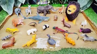 Wild Animals Stuck in Mud 🐻🐯 Learning Adventure with Forest Animals for Toddlers