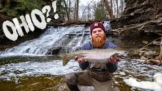 Catching Ohio Steelhead Under A Waterfall!