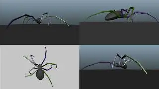 Spider Walk Cycle - Animation Practice