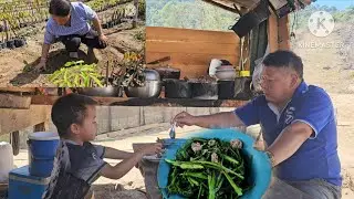 Khee siab wb noj zaub kib ua tshais 