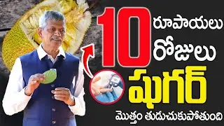 2 వారాలు తింటే షుగర్ కచ్చితంగా రివర్స్ || Best Tips for Sugar Control in Telugu || Dr Anjaneya Raju