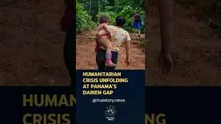 🌎 The Poisoning Of The Panama Jungle!