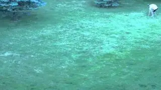 Oysters: Part III Premiere CC Opacity Masking/Speed Ramp Test
