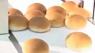 Horizontal Cutting Machine for Sponge Cakes, Ladhi & Buns