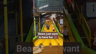 Fun With Buddy Bear at Crealy Theme Park