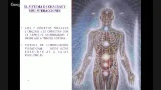 L&iacute;nea Pranalife de Armonizadores de Centros Energ&eacute;ticos (Chacras)