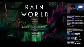 Rain world with continental penguin
