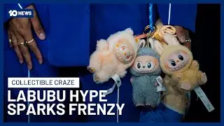 Labubu Frenzy Hits Melbourne As Fans Queue Overnight For Pop Mart Blind Box Collectibles | 10 News