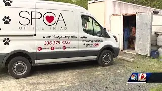 Report finds national animal welfare charities not giving enough money to local shelters