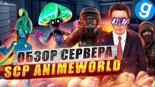 Обзор 