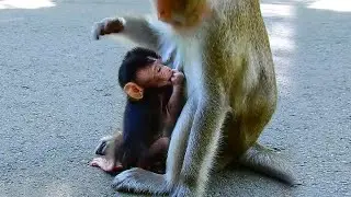 Mom Anna disciplines her baby Ara the hard way but ANNA still loves her child