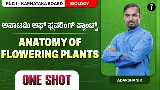 Anatomy of Flowering Plants -06 | One Shot | Karnataka PU 1 | Biology | Class 11 | In Kannada