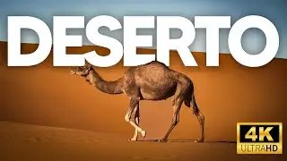DESERTO DO SAARA | Estrat&eacute;gias Surpreendentes de Vida em Meio ao Calor Extremo - Document&aacute;rio