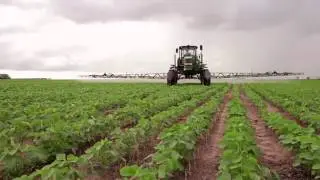 Vivre vegan   le nouvel eden