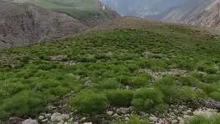 Yüreğime Kokun Değsin / Murat Akar