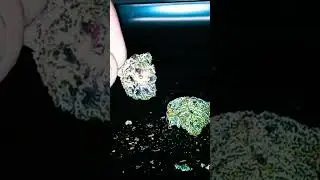 Bond Money strain review #420 #Bondmoney #strainreviews #weedreviews