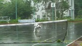 MAQ01149.MP4